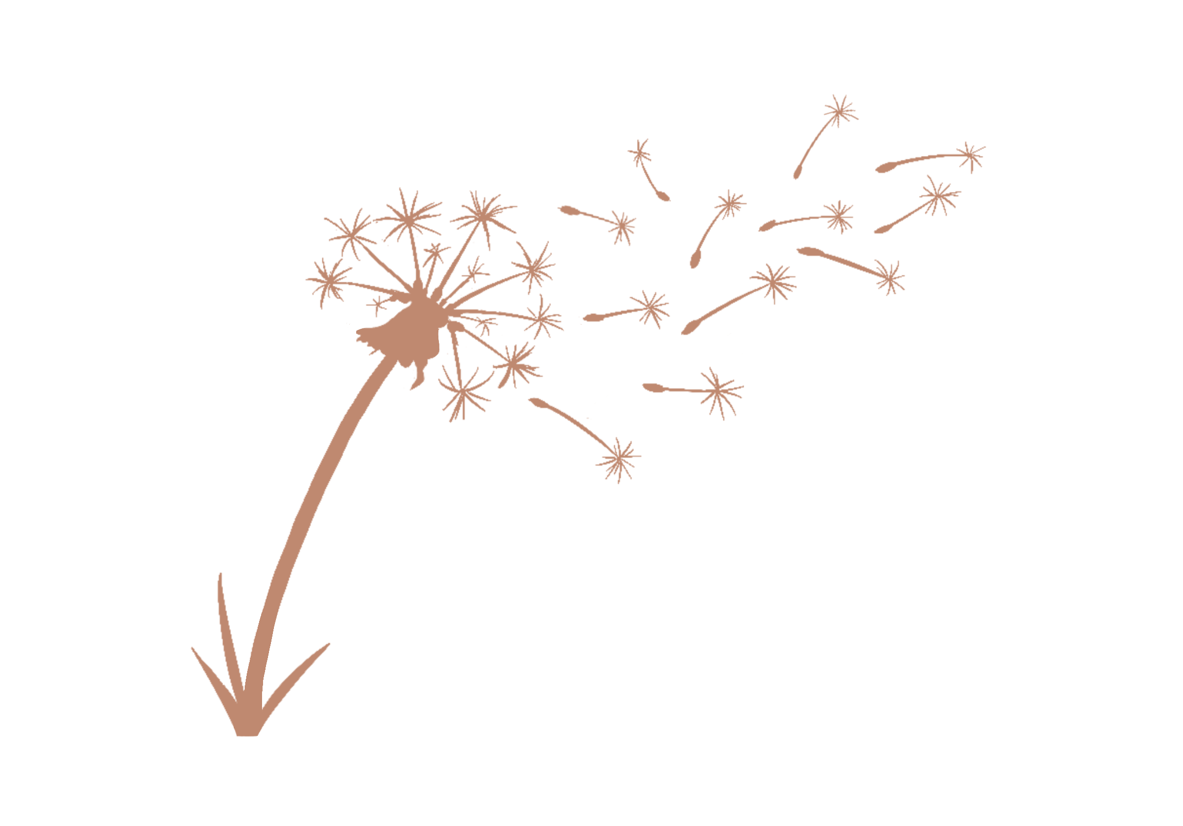 Logo Naturheilpraxis Carmen Stratmann 